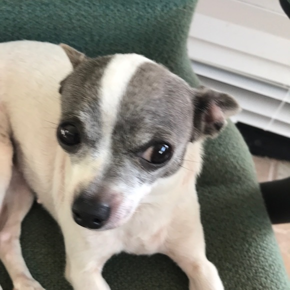 Meet your Posher, Loretta - Picture 1 of 1